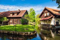 Buildings in the village Lehde in the Spreewald area, Germany van Rico Ködder thumbnail