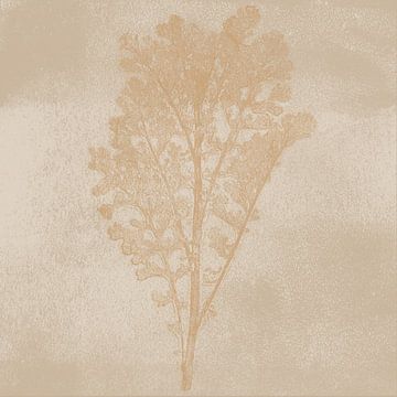 Calm wabi-sabi botanical  art in sand, white, ochre by Dina Dankers