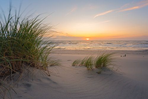 For you especially by Jeroen Lagerwerf