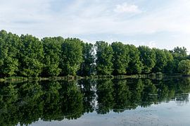 Provinzialdomäne Kessel-lo von Richard Wareham