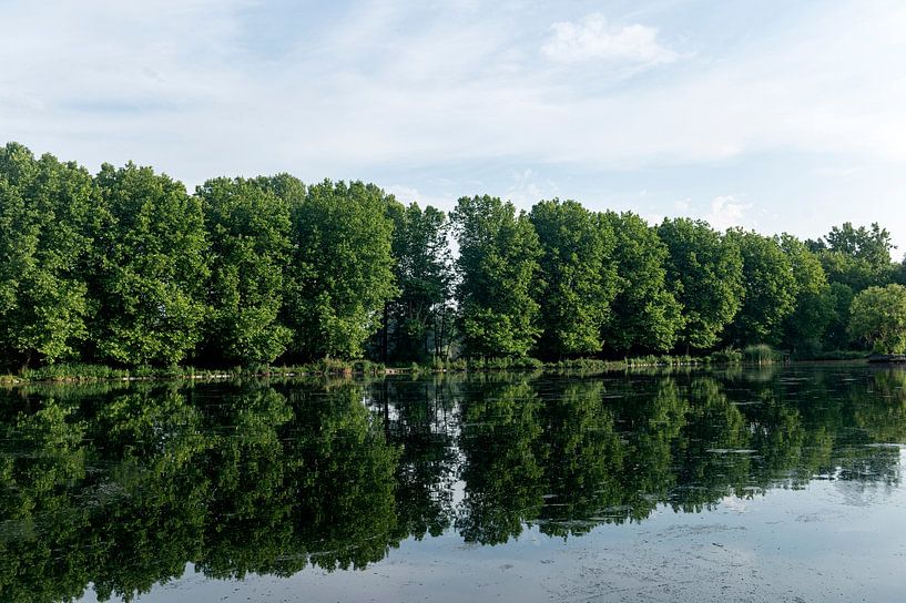 Domaine provincial Kessel-lo par Richard Wareham