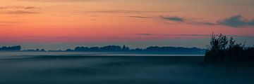 Gouden Uur Gratie: Verre Bomen Voorbij Lage Mist van AVP Stock