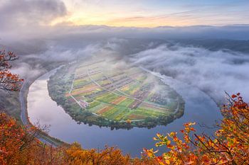 Boucle de la Moselle à Bremm