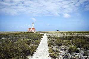 Der Weg zum Leuchtturm auf Klein Curacao von Manon Verijdt