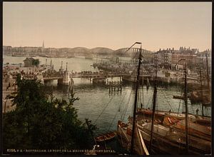 Bruggen over de Maas, Rotterdam sur Vintage Afbeeldingen