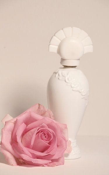 Stillleben mit Rosenduftstoffflasche  von Cora Unk