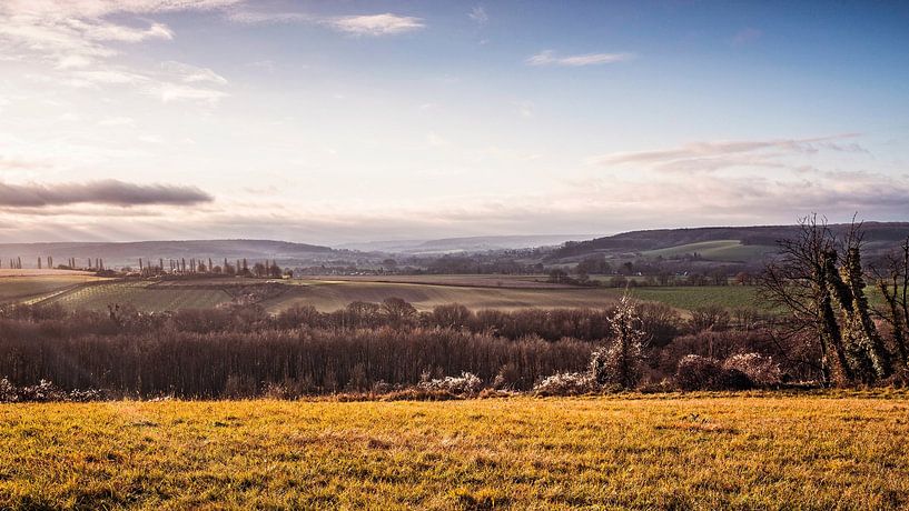 Eyserbos by Rob Boon