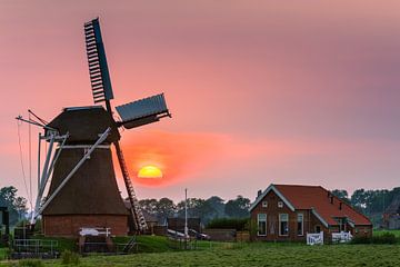 De Jonge Held, Groningen