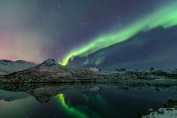 Northern Lights over a fjord in the Lofoten Islands in Norway by Sjoerd van der Wal
