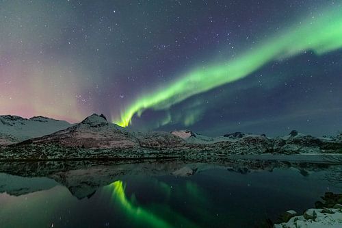 Noorderlicht boven een fjord op de Lofoten in Noorwegen