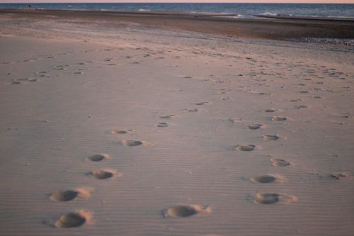 Voetstappen op het strand