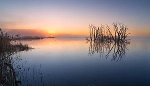 Tusschenwater magie