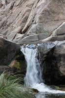 Rapids