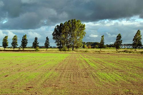 Zeeuws-Vlaanderen Polder bei Sonnenschein am Morgen