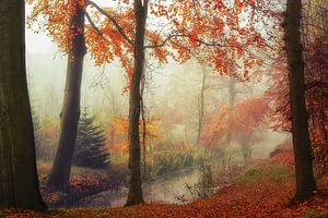 Herfst van Lars van de Goor