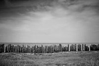 Waddenzee #2