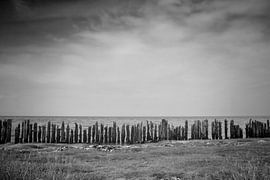 Waddenzee #2 sur Ruud van Oeffelen-Brosens