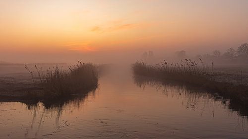 Mistige zonsopkomst boven natuurgebied Kruiszwin in Anna Paulowna