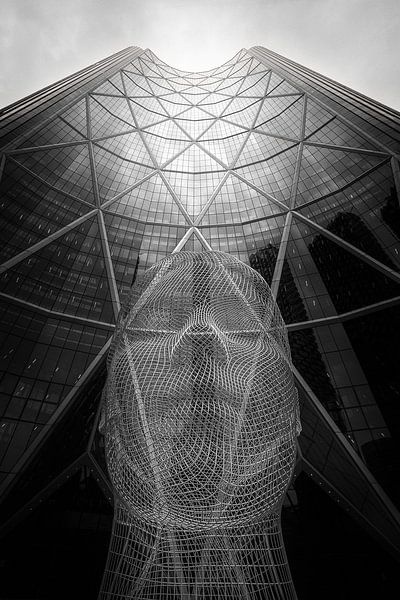 The Bow te surveille par Marc Lehmann