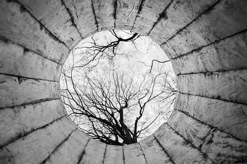 Bombentunnel von Joelle van Buren