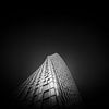 Spiralling into the Light by Igwe Aneke