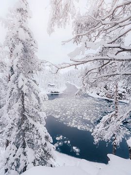 Vue sur une rivière gelée et une maison en bois | Photographie de voyage | Parc national d'Oulanka e