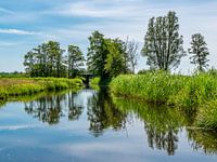 kalm water lab de weerribben