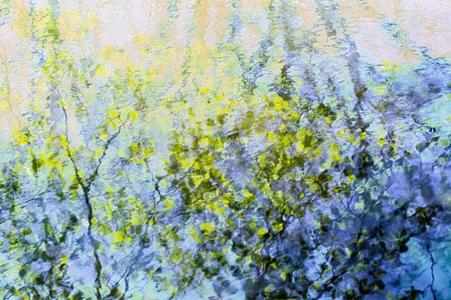 Spiegeling Blaadjes Boom Water | Natuurfotografie