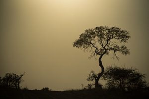 Afrikanische Landschaft von Ruud Bakker