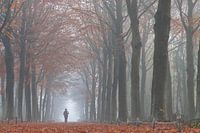 Mann im nebligen Wald