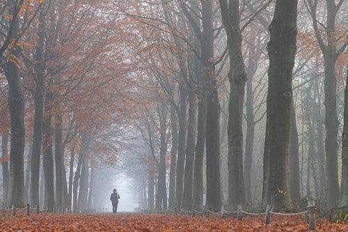 Man in foggy forest