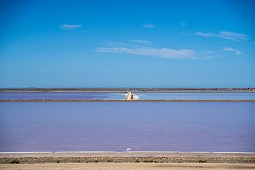 Roze zoutpannen Camarque van Mel van Schayk