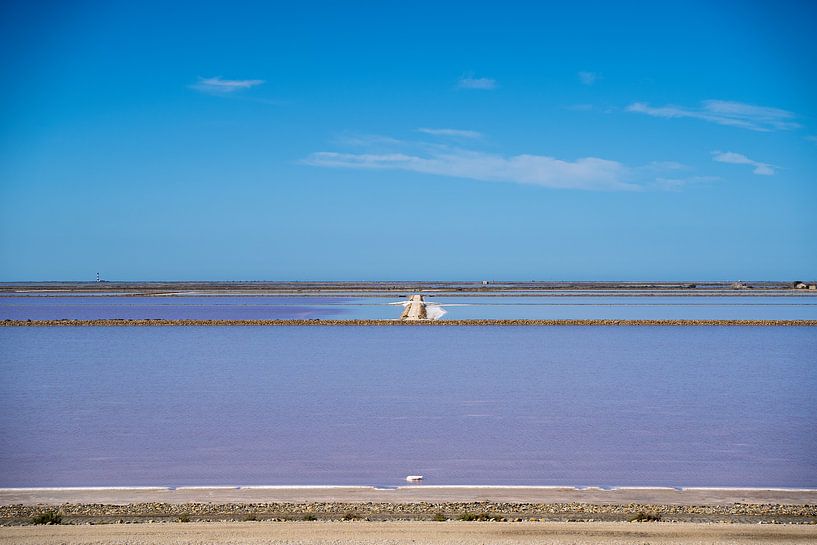 Salines roses Camarque par Mel van Schayk