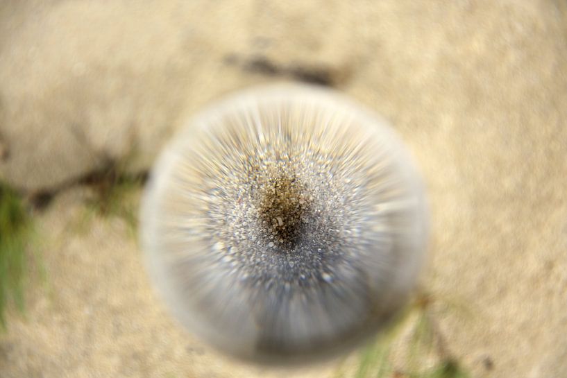 Zand by Mirjam van Vooren