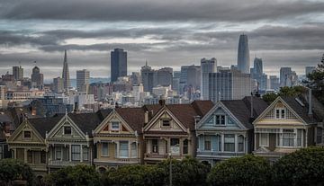 Painted Ladies San Francisco sur Mario Calma