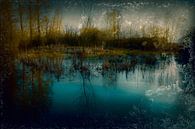 Village pond in early spring by Ronnie Reul thumbnail