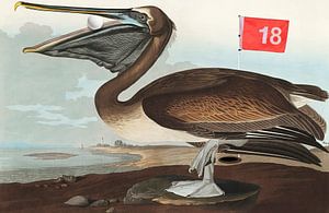Birds of America - Falsches Hole in One, Charlie!