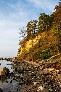 Boddenkust van Rügen van Ostsee Bilder