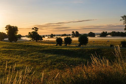 Ochtendsfeer
