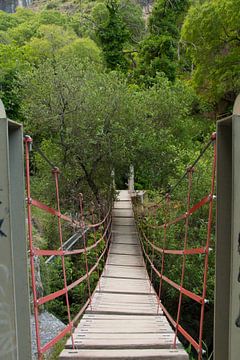 The Walking Bridge by Cornelis (Cees) Cornelissen