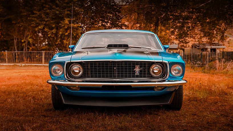 Ford Mustang Cobra Jet Mach 1 van Visuals by Maurice