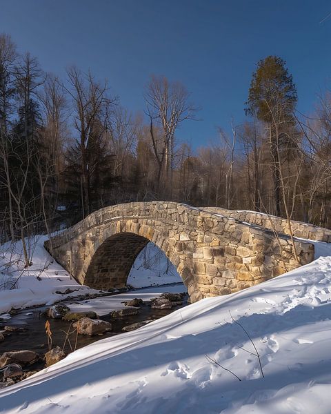 Frostige Brücke im Winterwald von fernlichtsicht