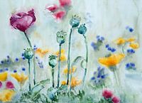 Fleurs des champs