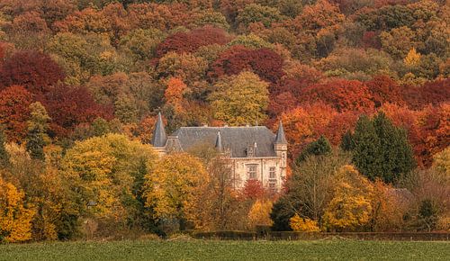 Kasteel Schaloen in herfstkleuren