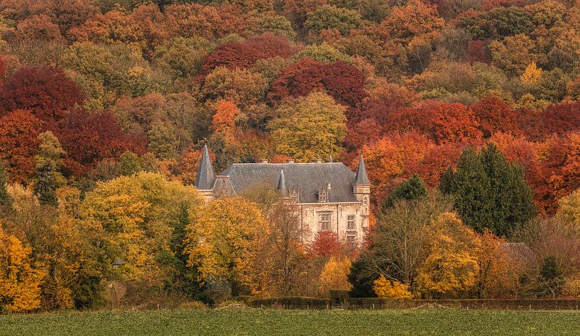 Kasteel Schaloen in herfstkleuren van John Kreukniet