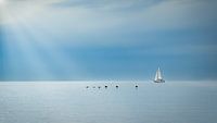 sail away