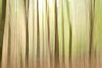 Abstrakter Wald - vertikale Bewegung