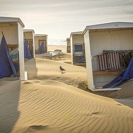 Strand, zee en zon, het leven aan de kust van Dirk van Egmond