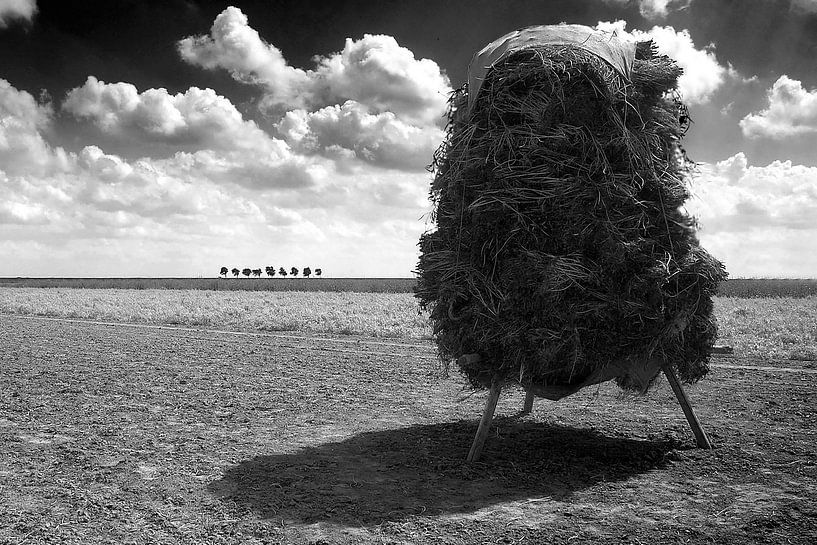 Hooi in Zeeland von Ruud van der Lubben