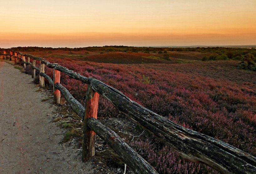 Op de Posbank tijdens een zonsondergang van Jessica Berendsen